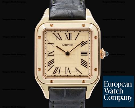 cartier santos dumont limited edition ref. wgsa0054|Altro.